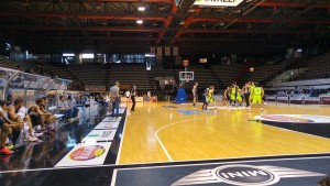 aquila trento